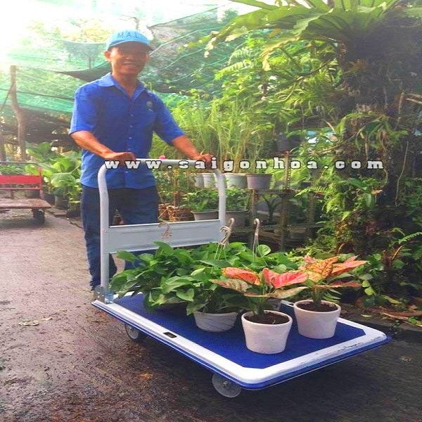 xe đẩy chậu cây cảnh giá rẻ tại Hưng Việt